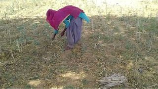 Desi Indian Boyfriend Ngegas Di Sawah, Ngebut Ngewe Pacar Yang Lagi Kerja.
