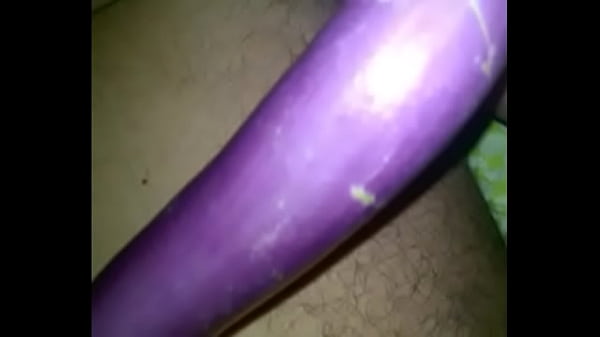Hidung Sange Shonu Brinjled India